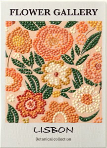 _ChtBbNX {^jJRNV X{ r[YA[g _ChA[g _Chr[Y  ԕr[Y ȒP Jt   H A[g G Ce