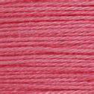 _}hq@͗lh | ӂ ͗l   nhCh 100 30m