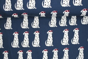 `C_VAHIbNXn110Ё@Ckn nhCh  ʒn Rbg  Gv obO |[` IbNXn n nAj}