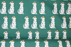 `C_VAHIbNXn110Ё@Ckn nhCh  ʒn Rbg  Gv obO |[` IbNXn n nAj}