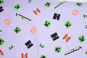 }CNtg IbNXn 108cmЁ@ nhCh ʒn Rbg |[` w  NbVJo[