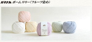 n}iJ |[[t[c ҂ nhCh 100 j ҂ݕ I[KjbN Ԃ  ю