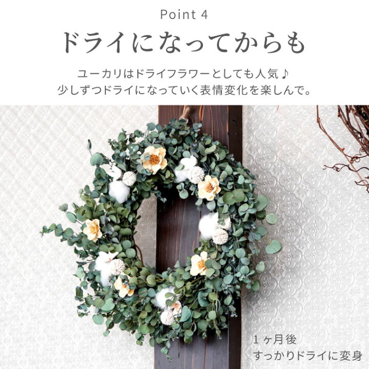 楽天市場 あす楽16時まで クリスマスリース 北欧 ナチュラル おしゃれ ユーカリ リース 30cm クリスマス リース フレッシュ 玄関 外 ナチュラルリース フレッシュリース 飾り 玄関飾り 屋外 生花 冬 誕生日 ギフト 贈り物 プレゼント 女性 誕生日プレゼント