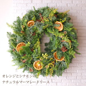 クリスマス リース 玄関の通販 価格比較 価格 Com