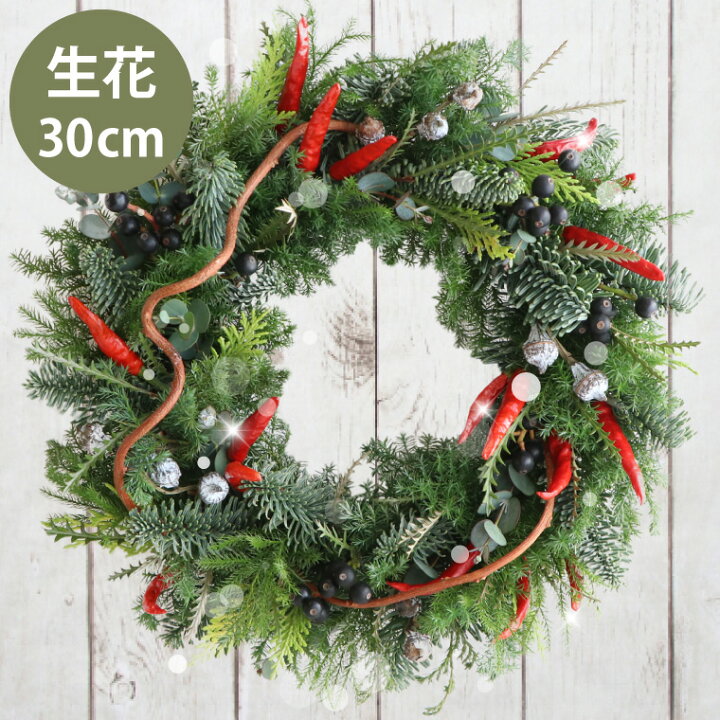 楽天市場 あす楽16時まで クリスマスリース 玄関 フレッシュ おしゃれ 北欧 チリペッパー の ナチュラル グリーン リース Mサイズ 30cm クリスマスパーティー 飾り付け 部屋 手作り 生花 屋外 ドア クリスマス飾り 装飾 フレッシュリース 玄関飾り 壁掛け