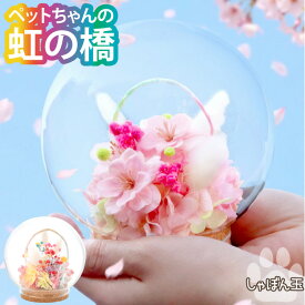 【日付指定可】お彼岸 お供え物 お供え お供え花 ペット プリザーブドフラワー 仏花 ガラスドーム 『 虹の橋 しゃぼん玉』 ドーム アレンジ 愛犬 お悔やみ 贈り物 ペット供養 手元供養 ペット仏壇 花 かすみ草 ラグラス 猫 鳥 インコ うさぎ ハムスター プリザ 桜 さくら
