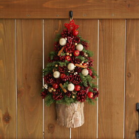 クリスマスツリー 壁掛け ミニ ミニツリー 北欧 『 ヒムロ杉 の クリスマス リース ツリー 』 ハーフツリー おしゃれ 玄関 クリスマス飾り 屋外 インテリア 雑貨 飾り かわいい 壁飾り 玄関飾り 松ぼっくり プリザーブドフラワー ドライフラワー xmas 母の日