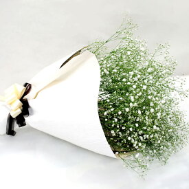 楽天市場 かすみ草 花束の通販