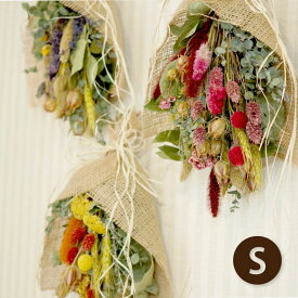 楽天市場 ドライフラワー 種類 植物 ユーカリ 花 観葉植物 花 ガーデン Diy の通販