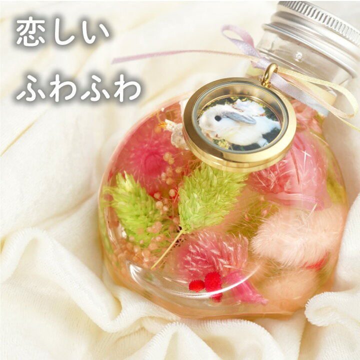 ペット お悔やみ ギフト 花 虹の橋 ふわふわ メモリー ハーバリウム お盆 お供え 物 お花 犬 猫 写真 命日 送る 仏花 供花 枕花 贈り物 新作入荷