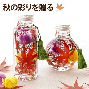  av[g  50 ~W  w gt ݂ n[oE Sx `  c e 60 70 80 77 җj    P  Ď j  CeA G V