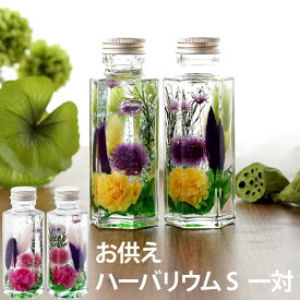 楽天市場 お悔やみ 即日 ハーバリウム 花 観葉植物 花 ガーデン Diyの通販