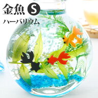 おもしろギフト 四季 玄関飾り 季節 観葉植物 夏ギフト 『 金魚 ハーバリウム S』 おもしろ プレゼント …