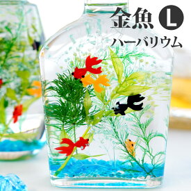 玄関飾り 季節 おもしろ プレゼント 子供 観葉植物 開店祝い 『 金魚 ハーバリウム L』 引っ越し祝い おしゃれ 玄関 インテリア 雑貨 置物 アクアリウム おもちゃ 誕生日プレゼント 女友達 ギフト 30代 女性 男性 50代 60代 新築 開業 かわいい 夏ギフト 暑中見舞い FLEGRE