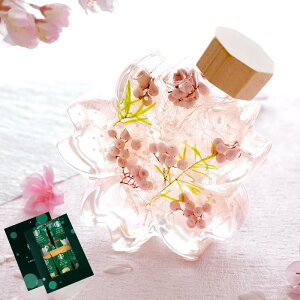  v[g ԂƂَq n[oE  XC[c َqZbg wTNmJ^`x Mtg ԈȊO av[g e 60   a ꂳ `  50 FB 30 ΂