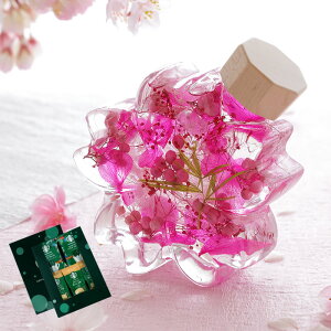  v[g ԂƂَq n[oE  XC[c َqZbg wTNmJ^`x Mtg ԈȊO av[g e 60   a ꂳ `  50 FB 30 ΂