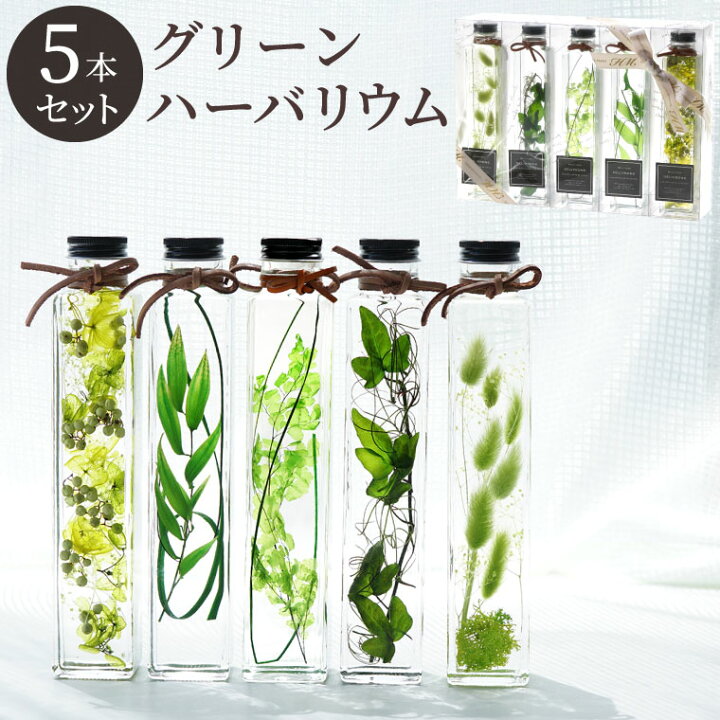 楽天市場 あす楽16時まで カフェ 開店祝い プレゼント 観葉植物 グリーンプランツ ハーバリウム 5本 セット 美容室 周年 祝い 開業祝い 周年祝い おしゃれ 新築祝い 引っ越し祝い 友人 誕生日プレゼント 女友達 ギフト 30代 玄関 インテリア 雑貨 北欧 暑中