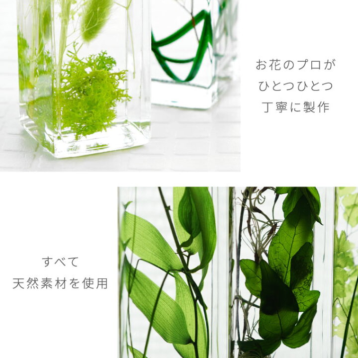 楽天市場 あす楽16時まで カフェ 開店祝い プレゼント 観葉植物 グリーンプランツ ハーバリウム 5本 セット 美容室 周年 祝い 開業 祝い 周年祝い おしゃれ 新築祝い 引っ越し祝い 友人 誕生日プレゼント 女友達 ギフト 30代 玄関 インテリア 雑貨 北欧 暑中