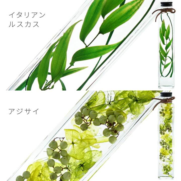 楽天市場 あす楽16時まで カフェ 開店祝い プレゼント 観葉植物 グリーンプランツ ハーバリウム 5本 セット 美容室 周年 祝い 開業 祝い 周年祝い おしゃれ 新築祝い 引っ越し祝い 友人 誕生日プレゼント 女友達 ギフト 30代 玄関 インテリア 雑貨 北欧 暑中