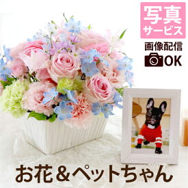 【あす楽＆日付指定可】 ペット お供え 写真立て セット 仏花 生花 アレンジメント 花 『星になったあの子へAC』 写真 遺影 お供え物 犬 お悔やみ 贈り物 メモリアル フォトフレーム 供養 お供え花 お悔やみ花 猫 供養花 仏壇用 命日 四十九日 即日発送 ペット供養