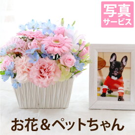 楽天市場 お供え 花 ペット ペットグッズ の通販