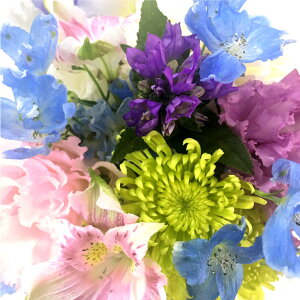 ytwz   AWg   ފ H̉ w  ܂AW  ԑyBzx ̐l  蕨 l\ 䕧O  @ @v  O 