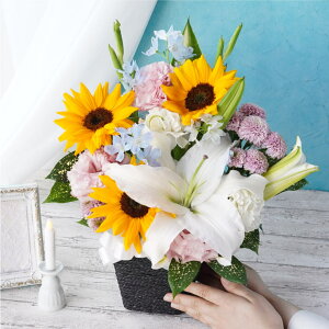 ytwz   AWg   ފ H̉ w  ܂AW  ԑyBzx ̐l  蕨 l\ 䕧O  @ @v  O 