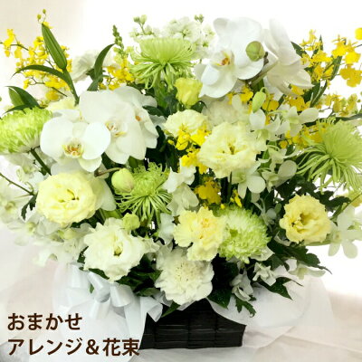 楽天市場 7日前予約品 お供え 花 お悔やみ 生花 仏花 アレンジ お供え花 おまかせ アレンジメント 花束 E ユリ お彼岸 供花 命日 四十九日 お供え 法事 家族葬の花 葬式 お悔み 弔電 会場直送 喪中 見舞い お花 メモリアル 献花 お盆 楽天市場 7日前予約品 お供え 花 お悔やみ 生花 仏花 アレンジ お供え花 おまかせ アレンジメント 花束 E ユリ お彼岸 供花 命日 四十九日 お供え 法事 家族葬の花 葬式 お悔み 弔電 会場直送 喪中 見舞い お花 メモリアル 献花 お盆
