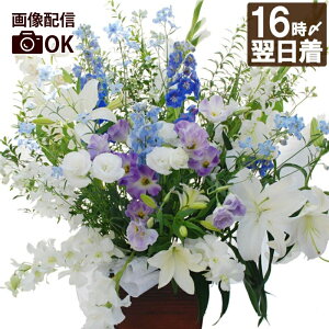 ytwz   AWg    w  ܂ AW  ԑ yFzx d  d t[Mtg  S    蕨  