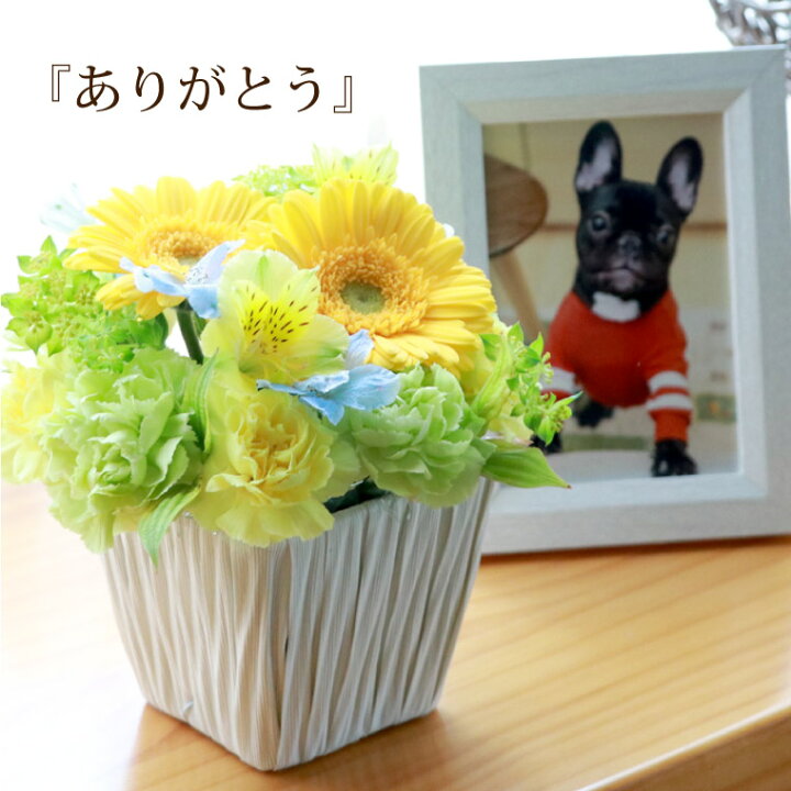 1794円 レビューで送料無料 ペット お悔やみ 花 ギフト 星 あの子 Ab お盆 初盆