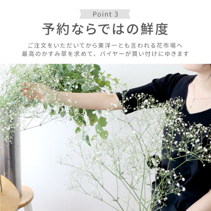 楽天市場 7日前予約品 母 誕生日 60代 プレゼント 花 かすみ草 の 花束 両親 結婚式 結婚記念日 妻 フラワーギフト おしゃれ 誕生日プレゼント 女性 女友達 代 30代 結婚祝い 引っ越し祝い 新築祝い 友人 還暦祝い 母 お見舞い 退職祝い ギフト カスミソウ