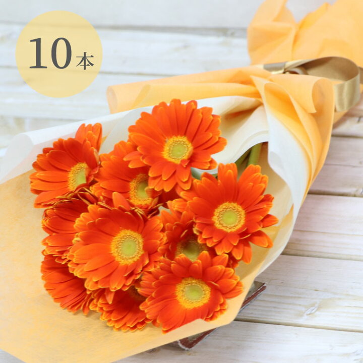 楽天市場 7日前予約品 プレゼント 女性 誕生日 花 ギフト 花言葉 希望 ガーベラ の 花束 10本 ブーケ 生花 フラワーギフト 結婚記念日 妻 夫 誕生日プレゼント 女友達 母親 60代 大人 かわいい 男性 花ギフト おしゃれ 傘寿 祝い 米寿 祖母 楽天市場 7日前予約品 プレゼント 女性 誕生日 花 ギフト 花言葉 希望 ガーベラ の 花束 10本 ブーケ 生花 フラワーギフト 結婚記念日 妻 夫 誕生日プレゼント 女友達 母親 60代 大人 かわいい 男性 花ギフト おしゃれ 傘寿 祝い 米寿 祖母