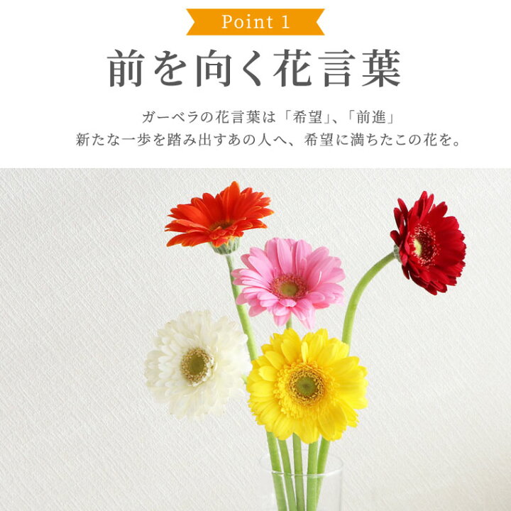 1005円 新作グッ 7日前予約品 退職祝い 花 花言葉 希望 ガーベラ 花束 1005円 新作グッ 7日前予約品 退職祝い 花 花言葉 希望 ガーベラ 花束