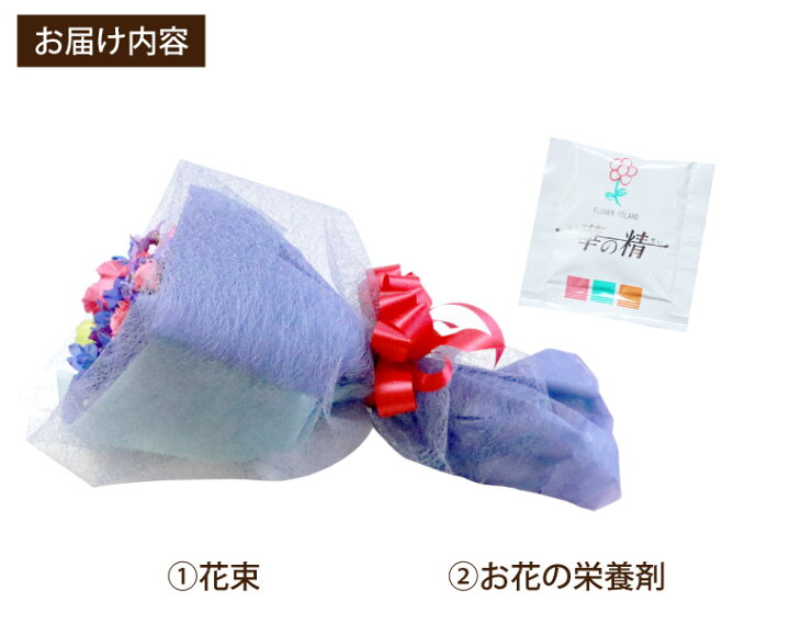 Ptlveh Aohdnam Ptlveh Aohdnam