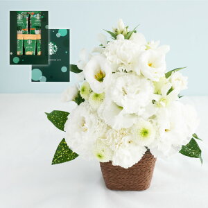 y16YŒZz ފ   蕨 َq d   AWg w  AW  i Zbg x [[ R[q[ X^o ЂƂƂ sbRh`F tB