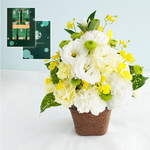y16YŒZz ފ   蕨 َq d   AWg w  AW  i Zbg x [[ R[q[ X^o ЂƂƂ sbRh`F tB