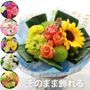 パイナップル プレゼント 農業資材 ガーデニング用品の人気商品 通販 価格比較 価格 Com
