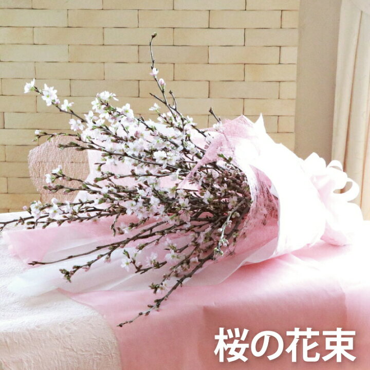楽天市場 7日前予約品 桜 ギフト 桜の花 桜の花束 桜の木 春の花 花束 春 退職祝い プレゼント 女性 おしゃれ 合格祝い 定年 退職 フラワーギフト 誕生日 新築祝い 友人 引っ越し祝い 誕生日プレゼント 女友達 ギフト 30代 母 母親 義母 50代 60代