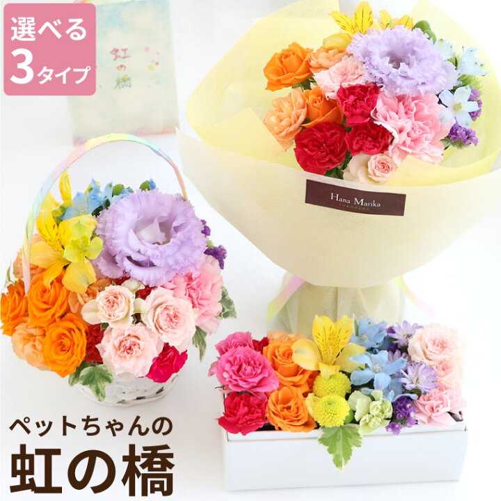 楽天市場 あす楽16時まで ペット お供え 花 アレンジメント 花束 虹の橋 エールフラワー お供え花 アレンジ そのまま飾れる ボックスフラワー 犬 お悔やみ 贈り物 命日 生花 仏花 仏壇 仏壇用 ペット供養 ギフト 49日 四十九日 法事 法要 一周忌 お供え物 お