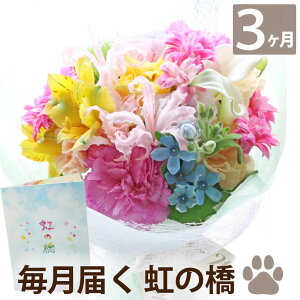 犬 お供え 花 Diy 工具の人気商品 通販 価格比較 価格 Com 犬 お供え 花 Diy 工具の人気商品 通販 価格比較 価格 Com