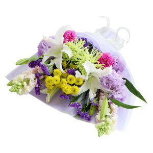 ytwz ފ Q   ԑ    w Q   1΁i2j Cx ފ݉   2 zB  ̉ 蕨 @   䕧O l\ 
