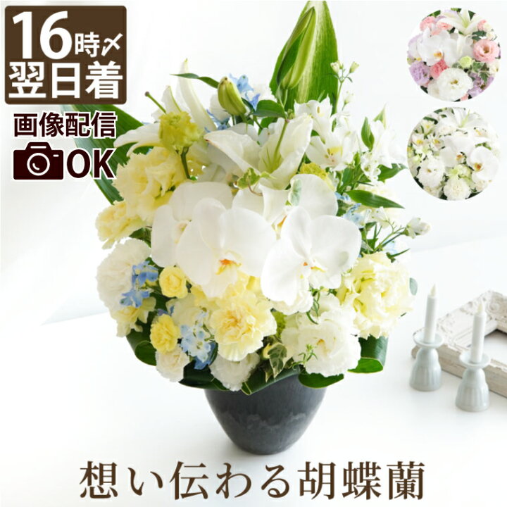 楽天市場】【日付指定可】 胡蝶蘭 お供え 花 アレンジメント 仏花 生花  