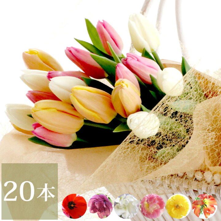 楽天市場 7日前予約品 花束 誕生日 母 フラワーギフト 生花 チューリップ の 花束 本 退職祝い プレゼント 女性 男性 定年 退職 誕生日プレゼント 母親 60代 50代 70歳 花ギフト おしゃれ 卒業祝い 送別会 就職祝い 結婚祝い 結婚記念日 妻 合格祝い 還暦祝い