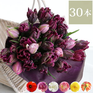 生花 チューリップ 花束の人気商品 通販 価格比較 価格 Com