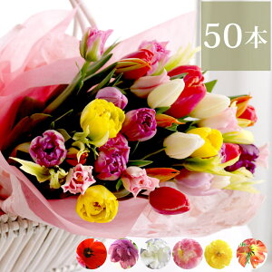 生花 切り花の人気商品 通販 価格比較 価格 Com