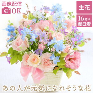 ytwz   ފ  AWg r w̐lCɂȂꂻ  ABx Cj މ@j ybg  蕨  LO av[g 