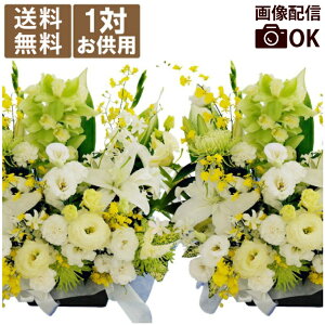 ytwz @        ̉ w  AW F΁yAGzx d d  S     蕨 @ @v l\ 49  O 