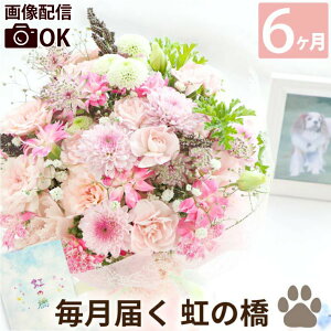 ͂ Ԃ̒   w ̋ ӂӃR[X 6x   w 蕨   L CR 