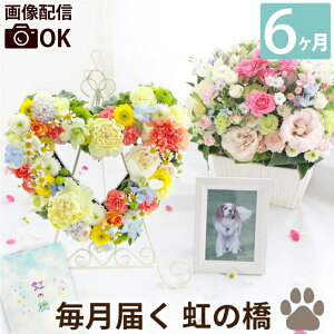 ͂ Ԃ̒   w ̋ ӂӂR[X 6x   w 蕨   L CR 