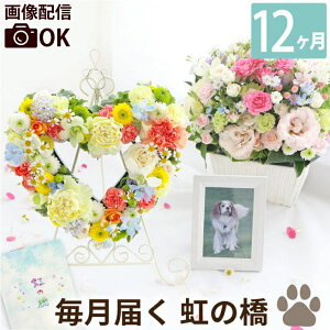 ͂ Ԃ̒   w ̋ ӂӂR[X 12x   w 蕨   L CR